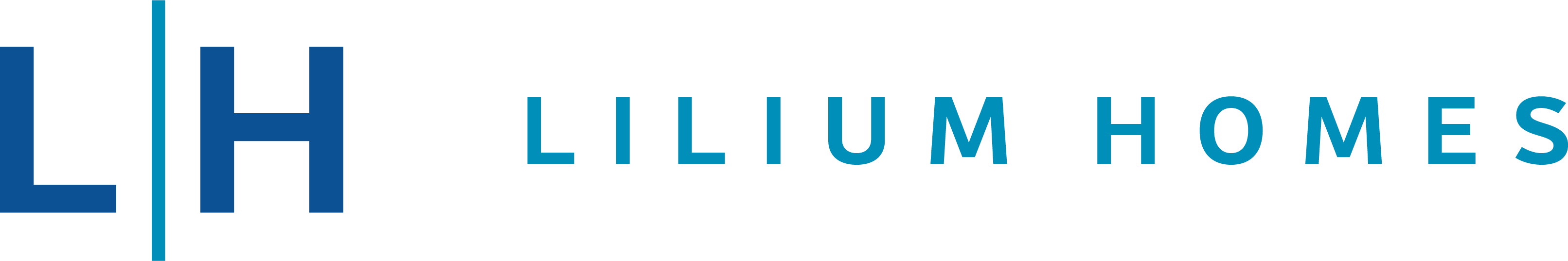 Lilium Homes homes in the Raleigh-Durham Triangle