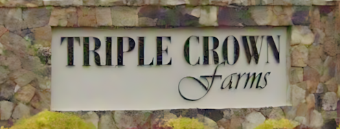 Triple Crown Estates neighborhood in Chapel Hill, NC
